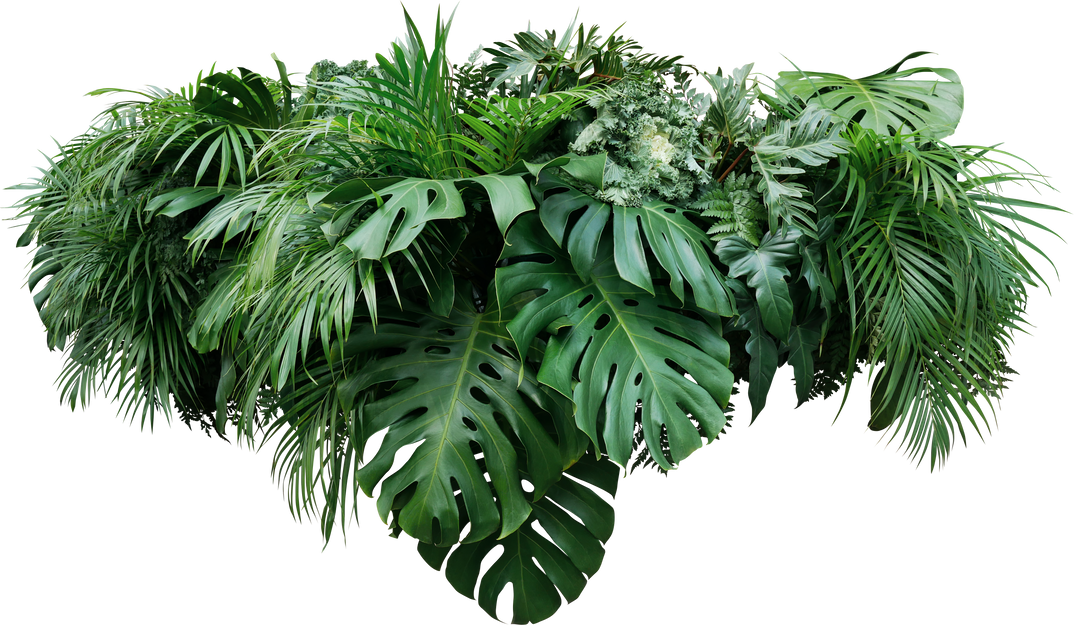 Tropical leaves foliage plants bush floral arrangement